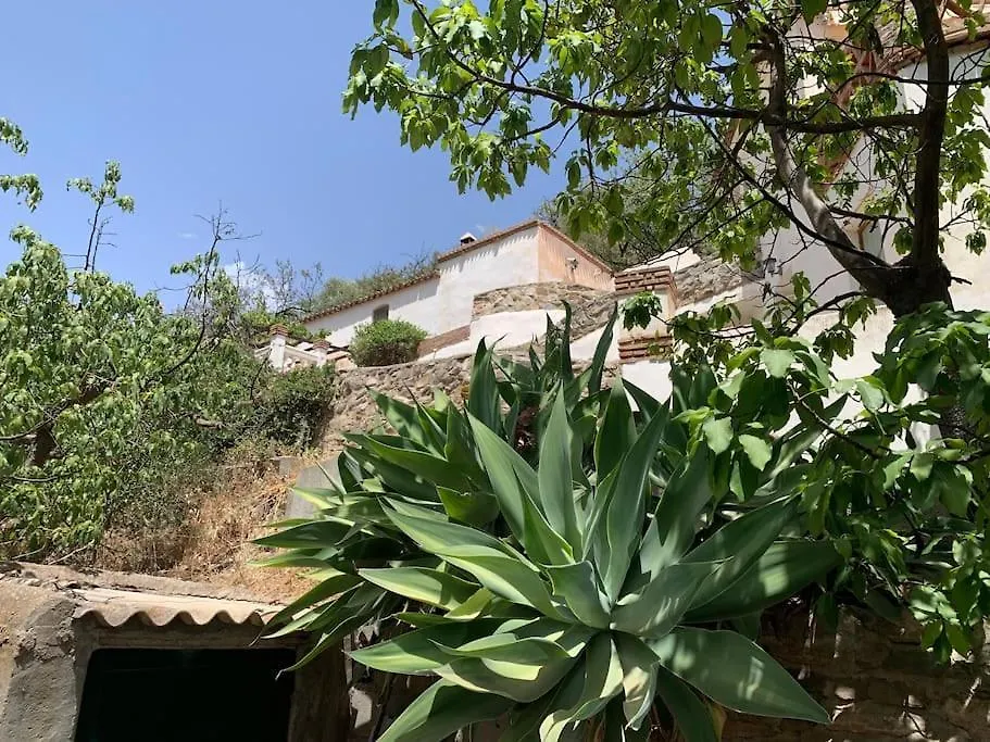 Holiday home Las Golondrinas, Authentic Cortijo In The Hills Of Almunecar