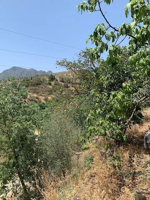 Las Golondrinas, Authentic Cortijo In The Hills Of Almunecar 0*,  Spain