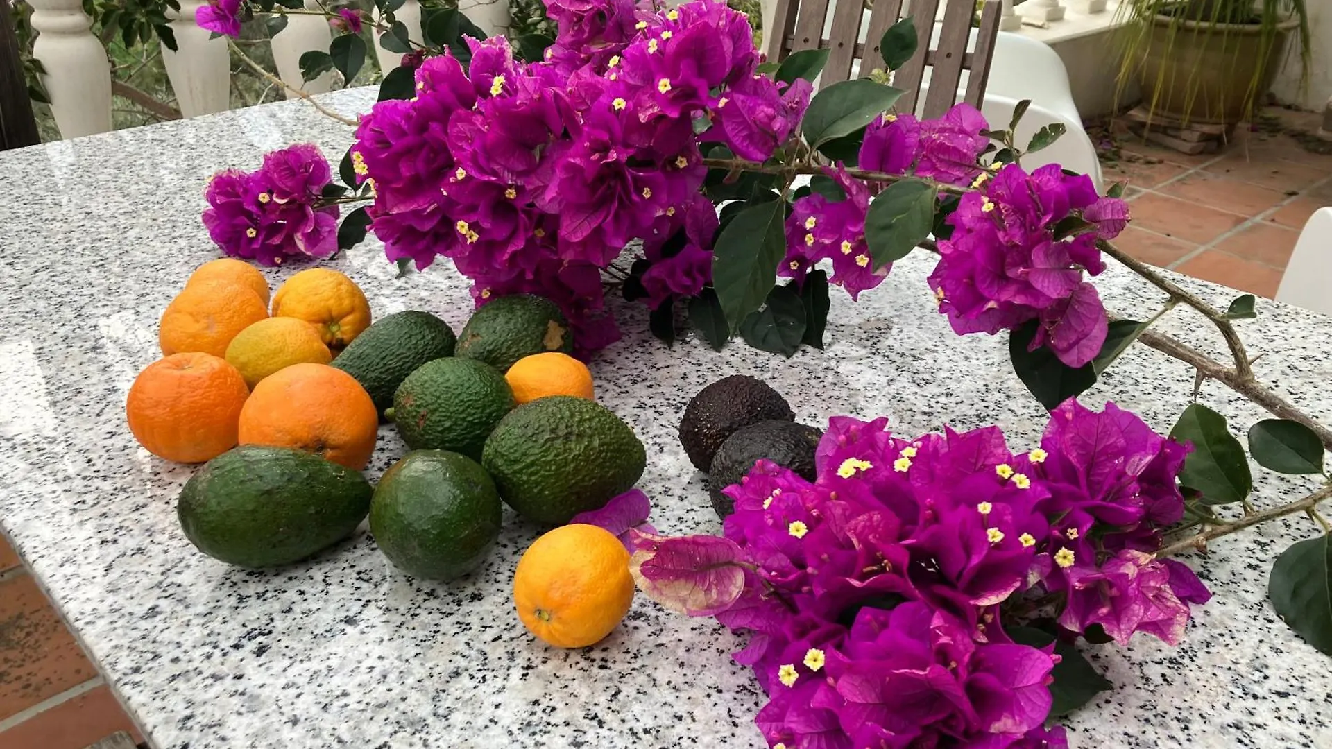 Semesterbostad Las Golondrinas, Authentic Cortijo In The Hills Of Almuñécar